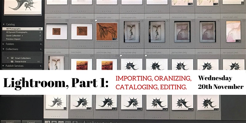 Lightroom, Part I: Importing, Organizing, Cataloging, Editing